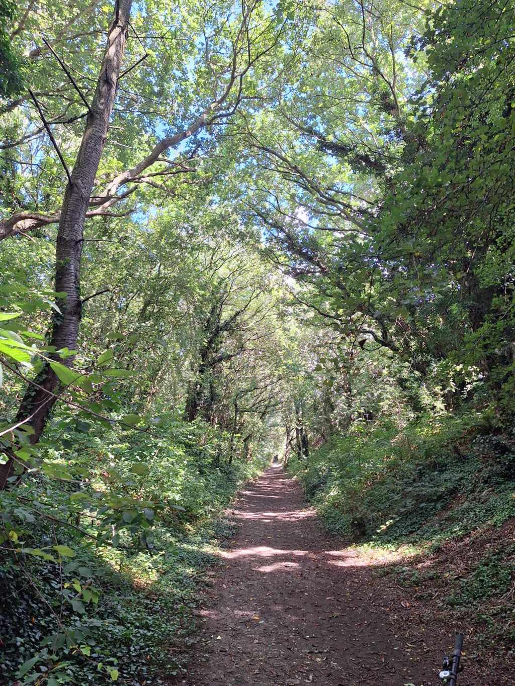 The Paston Way: A Serene Walking&nbsp;Trail