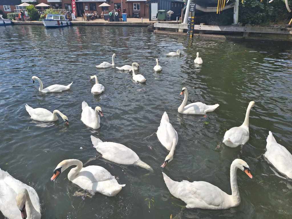 Wroxham: Quirky Gateway to the Norfolk&nbsp;Broads